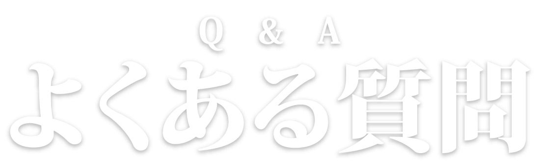主な実績